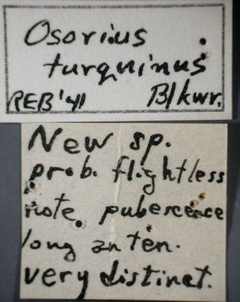 Media type: image;   Entomology 27498 Aspect: labels 2